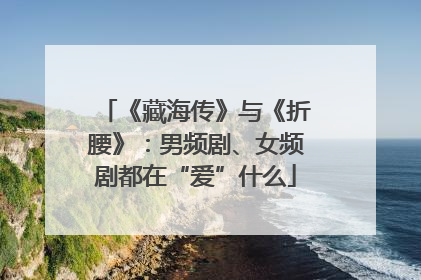 《藏海传》与《折腰》：男频剧、女频剧都在“爱”什么