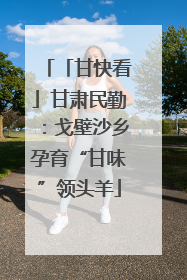 「甘快看」甘肃民勤：戈壁沙乡孕育“甘味”领头羊