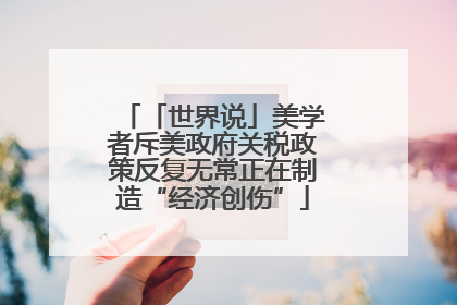 「世界说」美学者斥美政府关税政策反复无常正在制造“经济创伤”