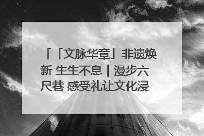 「文脉华章」非遗焕新 生生不息｜漫步六尺巷 感受礼让文化浸润的“巷”往生活