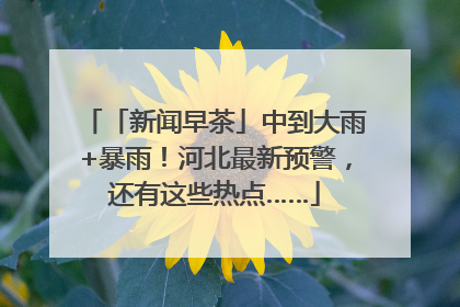 「新闻早茶」中到大雨+暴雨！河北最新预警，还有这些热点……
