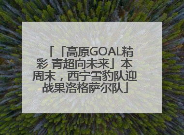 「高原GOAL精彩 青超向未来」本周末，西宁雪豹队迎战果洛格萨尔队