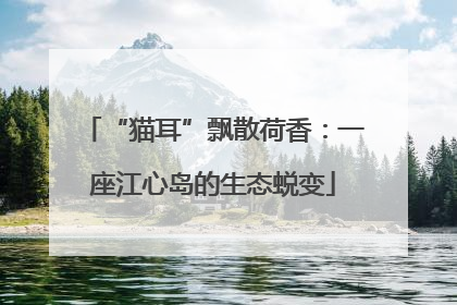 “猫耳”飘散荷香：一座江心岛的生态蜕变
