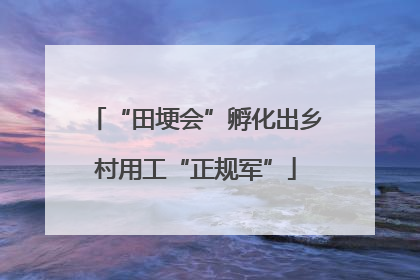 “田埂会”孵化出乡村用工“正规军”