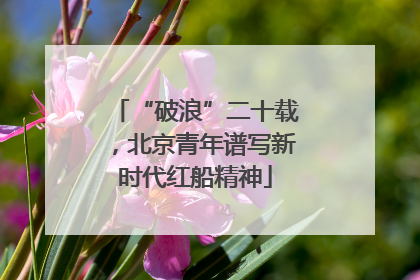 “破浪”二十载，北京青年谱写新时代红船精神