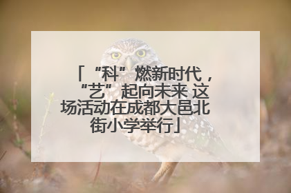 “科”燃新时代，“艺”起向未来 这场活动在成都大邑北街小学举行