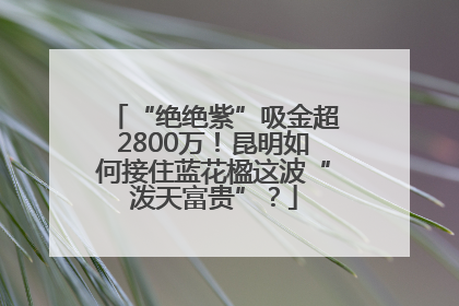 “绝绝紫”吸金超2800万！昆明如何接住蓝花楹这波“泼天富贵”？
