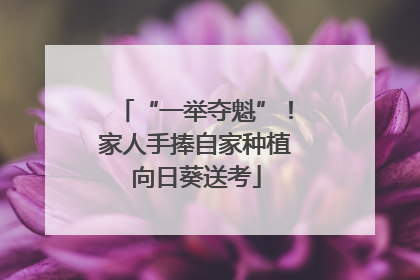 “一举夺魁”！家人手捧自家种植向日葵送考