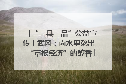 “一县一品”公益宣传丨武冈：卤水里熬出“草根经济”的醇香
