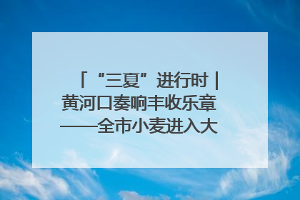 “三夏”进行时｜黄河口奏响丰收乐章——全市小麦进入大面积收获高峰期