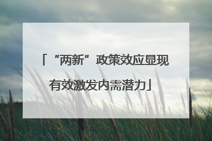 “两新”政策效应显现 有效激发内需潜力