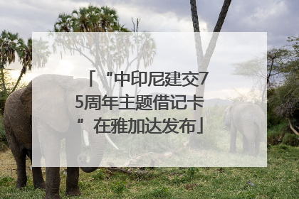 “中印尼建交75周年主题借记卡”在雅加达发布