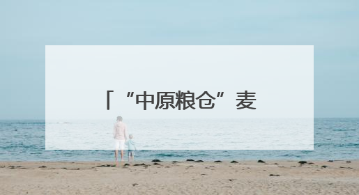 “中原粮仓”麦收结束 今年河南小麦产量咋样？品质如何？