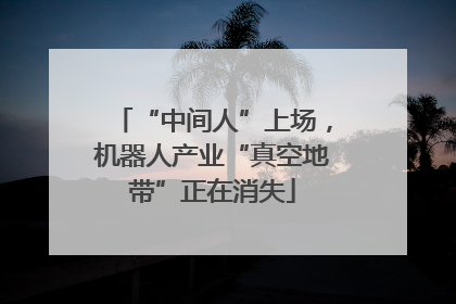 “中间人”上场，机器人产业“真空地带”正在消失