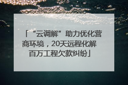 “云调解”助力优化营商环境，20天远程化解百万工程欠款纠纷
