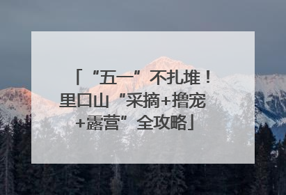 “五一”不扎堆！里口山“采摘+撸宠+露营”全攻略
