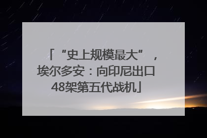 “史上规模最大”，埃尔多安：向印尼出口48架第五代战机