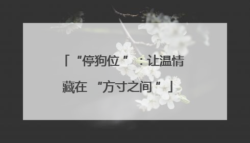 “停狗位 ”：让温情藏在 “方寸之间 ”