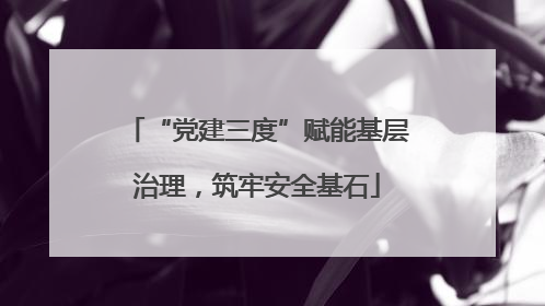 “党建三度”赋能基层治理，筑牢安全基石