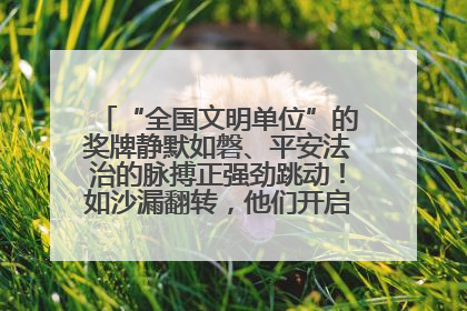 “全国文明单位”的奖牌静默如磐、平安法治的脉搏正强劲跳动！如沙漏翻转，他们开启了全新的计时