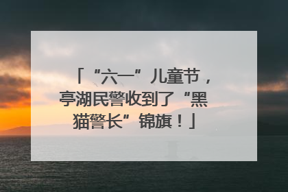 “六一”儿童节，亭湖民警收到了“黑猫警长”锦旗！