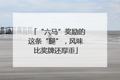 “六马”奖励的这条“腿”，风味比奖牌还厚重