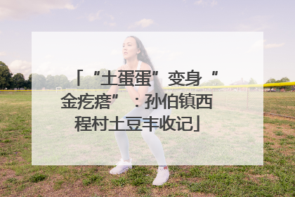 “土蛋蛋”变身“金疙瘩”：孙伯镇西程村土豆丰收记