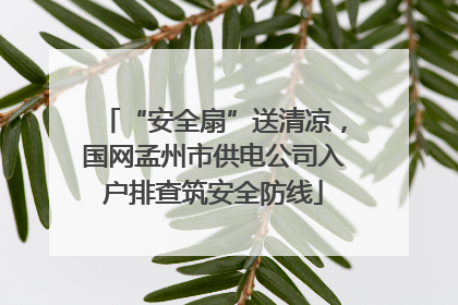 “安全扇”送清凉，国网孟州市供电公司入户排查筑安全防线