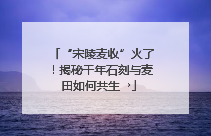 “宋陵麦收”火了！揭秘千年石刻与麦田如何共生→