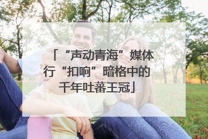 “声动青海”媒体行“扣响”暗格中的千年吐蕃王冠