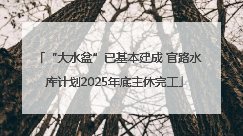 “大水盆”已基本建成 官路水库计划2025年底主体完工