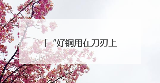 “好钢用在刀刃上”，广西筑牢资源要素“保障网”