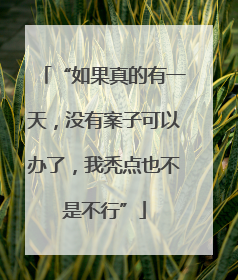 “如果真的有一天，没有案子可以办了，我秃点也不是不行”