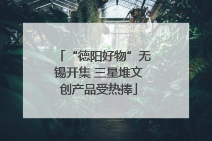 “德阳好物”无锡开集 三星堆文创产品受热捧