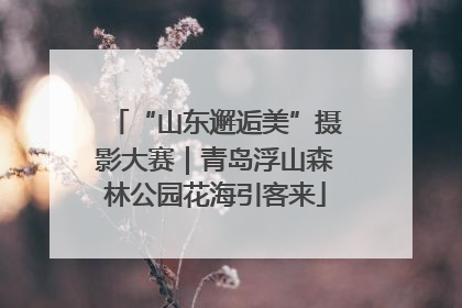 “山东邂逅美”摄影大赛｜青岛浮山森林公园花海引客来