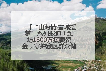 “山海情·雪域援梦”系列报道⑪ 潍坊1300万援藏资金，守护藏区群众健康“最后一公里”