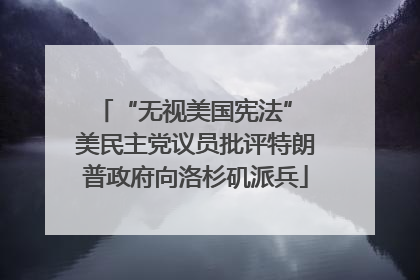 “无视美国宪法” 美民主党议员批评特朗普政府向洛杉矶派兵