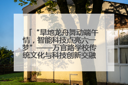 “旱地龙舟舞动端午情，智能科技点亮六一梦”——万官路学校传统文化与科技创新交融的精彩盛宴