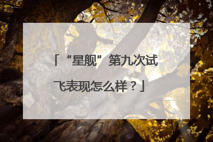 “星舰”第九次试飞表现怎么样？