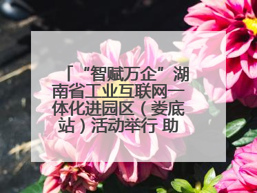 “智赋万企”湖南省工业互联网一体化进园区（娄底站）活动举行 助推农机装备产业高质量发展