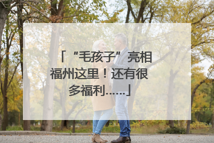 “毛孩子”亮相福州这里！还有很多福利……