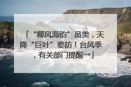 “椰风海韵”虽美，天降“巨叶”要防！台风季，有关部门提醒→