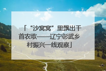 “沙窝窝”里飘出千首农歌——辽宁彰武乡村振兴一线观察
