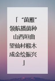 “菌雁”领航播菌种 山西垣曲望仙村椴木成金绘振兴