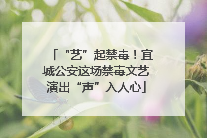 “艺”起禁毒！宜城公安这场禁毒文艺演出“声”入人心