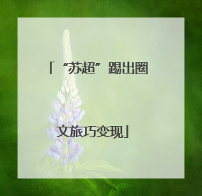 “苏超”踢出圈 文旅巧变现