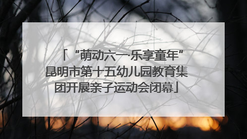 “萌动六一·乐享童年”昆明市第十五幼儿园教育集团开展亲子运动会闭幕