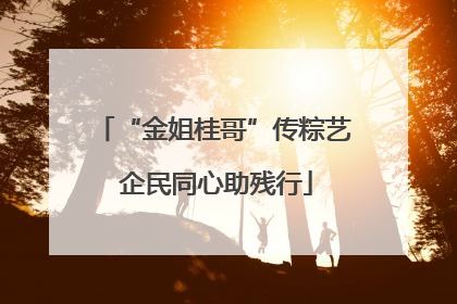 “金姐桂哥”传粽艺 企民同心助残行