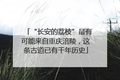“长安的荔枝”最有可能来自重庆涪陵，这条古道已有千年历史