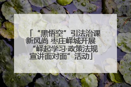 “黑悟空”引法治课新风尚 枣庄峄城开展“峄起学习·政策法规宣讲面对面”活动